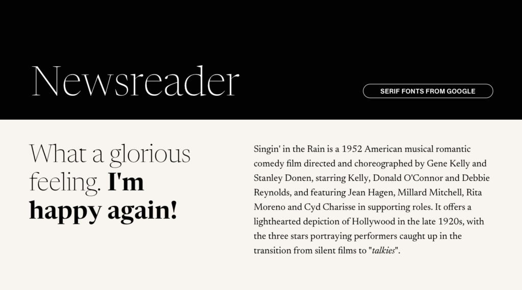 Newsreader from Google Fonts